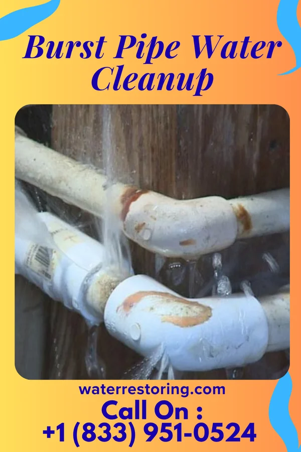 Burst Pipe Water Cleanup in Cincinnati, OH