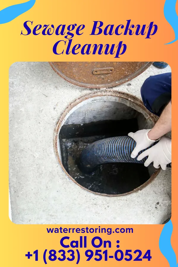 Sewage Backup Cleanup in Cincinnati, OH