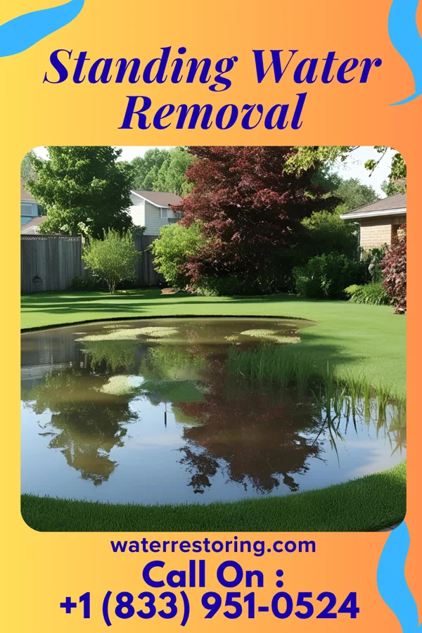Standing Water Removal in Cincinnati, OH